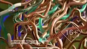 Заставка программы Золотая дюжина 2019-2021 со звуком заставки программы Сегодня 2002-2012