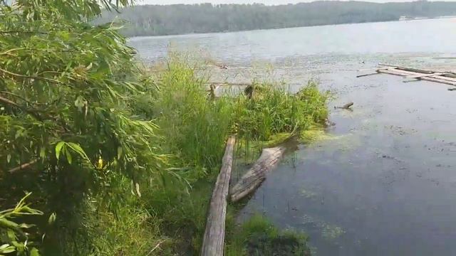 Седаново смотреть онлайн