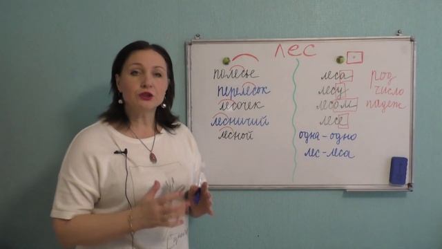 СУЩЕСТВЕННАЯ РАЗНИЦА между ФОРМОЙ слова и РОДСТВЕННЫМИ словами смотреть онлайн