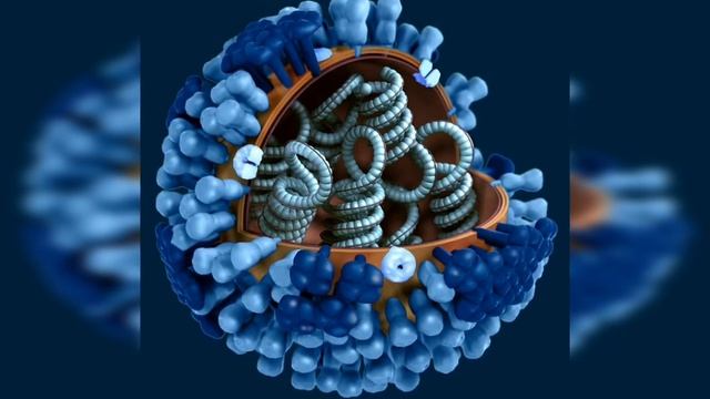 Что такое вирусы?