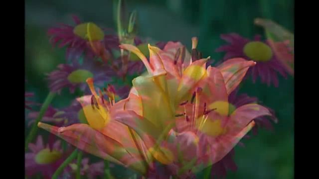 Свекровь выставила невестку с ребенком за порог. Она еще не знала, что… смотреть онлайн