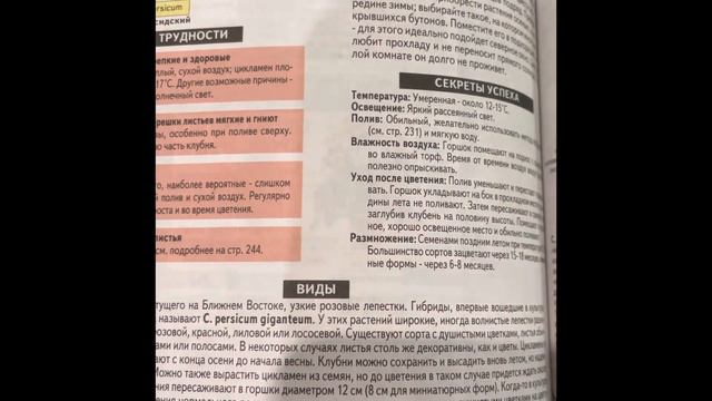 Комнатные цветы на которые я не тратила бы деньги🌺 смотреть онлайн