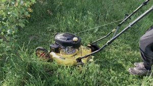 Газонокосилка CHAMPION LM5127 / косим траву