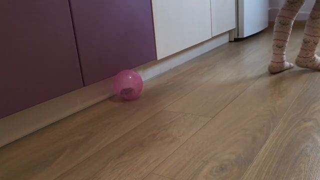 Хомяк/Какое животное купить ребенку/как ухаживать за хомяком/ наше первое животное! смотреть онлайн