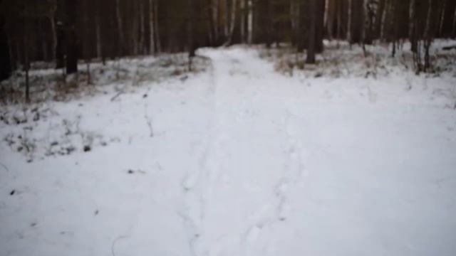 Тест видео nikon d3300 смотреть онлайн