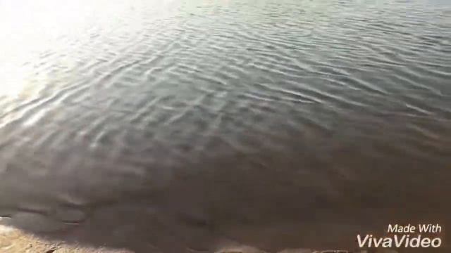 Vlog: прогулка на велосипедах/ дача смотреть онлайн