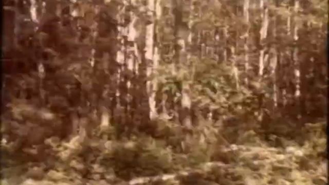 велье валдай смотреть онлайн