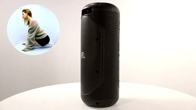 НИКС Компьютерный Супермаркет: видео про Компьютерные колонки Ginzzu GM-210 Black #1 смотреть онлайн