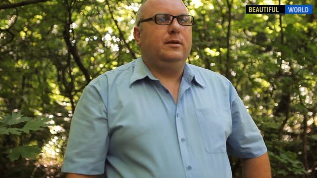 История Дикого поля, от каменного века до наших дней. Ростовская область #ГеографияРоссии смотреть онлайн