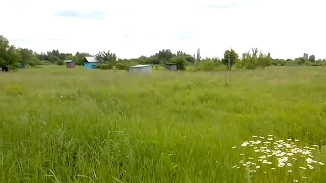 Продам участок 10соток г.Житомир 10000$ смотреть онлайн