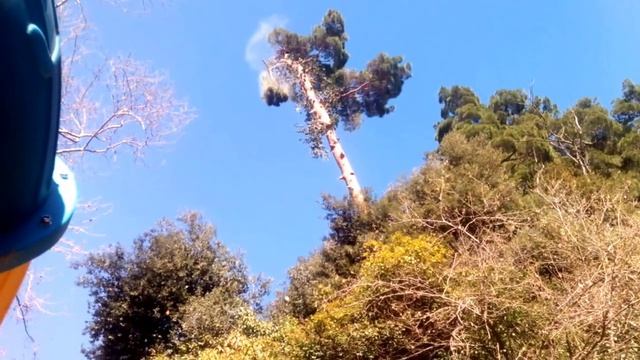 арбористика сосна кронирование 6 смотреть онлайн