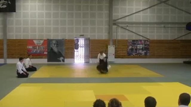 Aikido demonstration. Karpova Marina,6th Dan aikido AIKIKAI 14 07 2013 смотреть онлайн