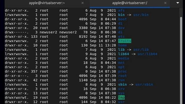 # Linux Permissions and Chmod Commands | Ekascloud | English смотреть онлайн