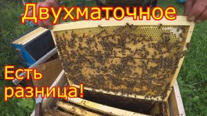 ДВУХМАТОЧНОЕ содержание!!! РАЗНИЦА ОЧЕВИДНА!!!