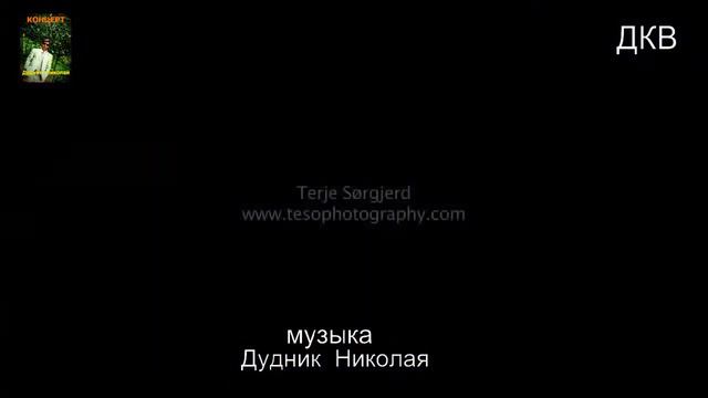 музыка природы смотреть онлайн