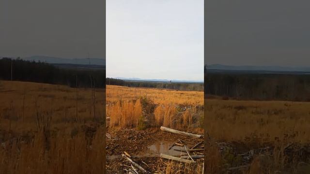Blue Ridge ☝️ смотреть онлайн