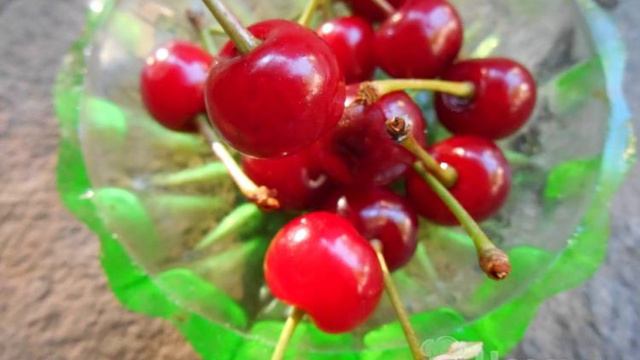 Книга рецептов