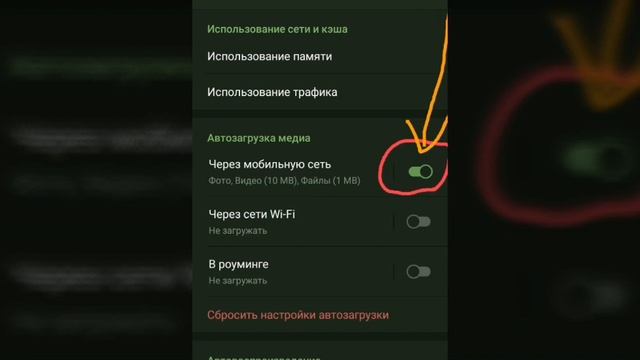 Как отключить в Телеграмме автозагрузку фото, видео и файлов? смотреть онлайн