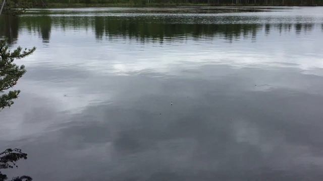 Поход на карьеры Погостье с детьми смотреть онлайн