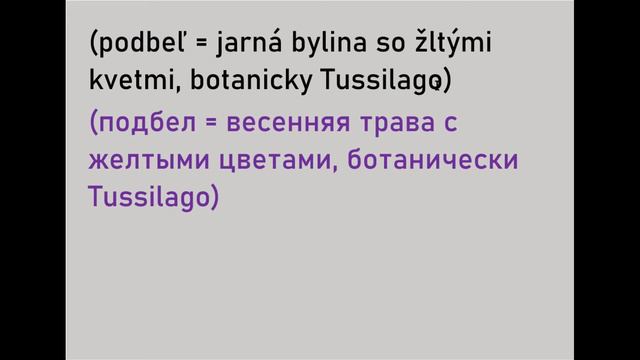Словацкий язык. Урок 460. - Числительные. Cклонение числительного "1000". - 9. смотреть онлайн