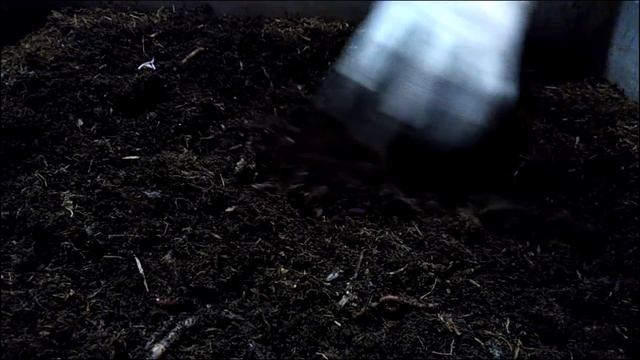 Лечение малька и сравнение 4-х видов зелёного корма. Часть 2. смотреть онлайн