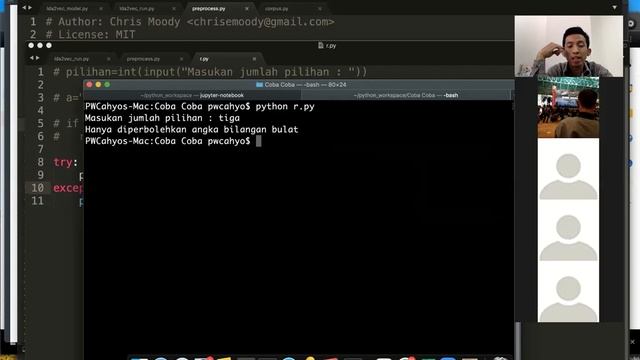 Python Exception Handling смотреть онлайн