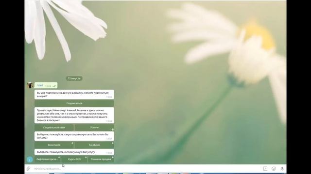 Чат бот визитка для бизнеса смотреть онлайн