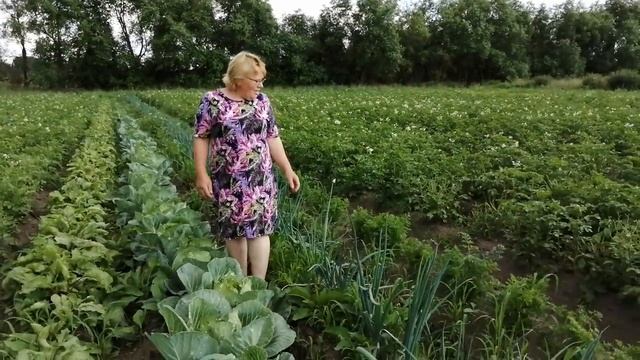ЖУКОВ ПОБЕДИЛА,ВСЕ РАСТЕТ,ТЕЛЯТА В ЗАГОНЕ!БЫКИ ПОХУДЕЛИ -ЧТО ДЕЛАТЬ,МЕНЯ ЧУТЬ НЕ СЪЕЛИ-НОВОСТИ! смотреть онлайн