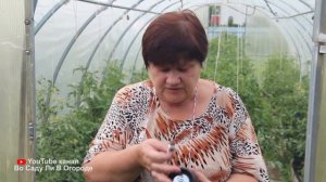 Это же надо до такого додуматься! Как спасти урожай ягод от птиц!