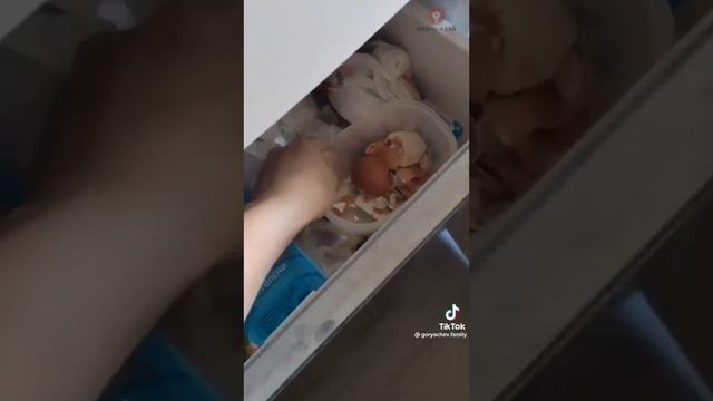 Точим нож для блендера. смотреть онлайн