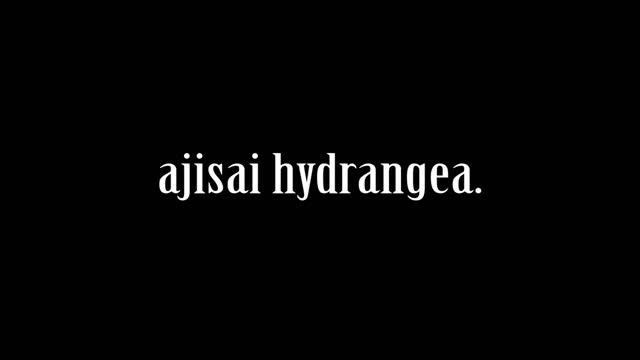 An In-Depth Analysis of Danganronpa 37 смотреть онлайн