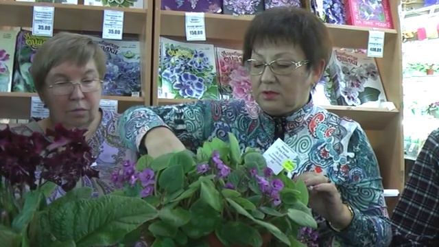ДФ. Уход за сенполиями зимой смотреть онлайн