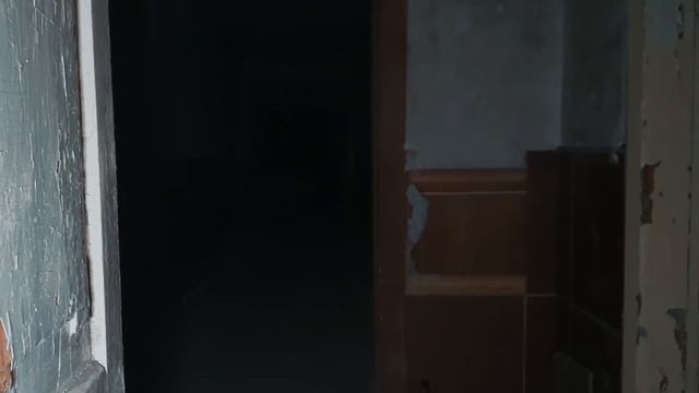 НОЧЬ В ПОМЕСТЬЕ С ПРИЗРАКАМИ. ПОМЕХИ НА КАМЕРЕ, СТРАННЫЕ ЗВУКИ смотреть онлайн