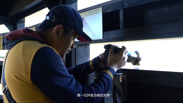索尼A9、RX10M4 鸟类拍摄-零基础大师班第1季-03 Sony A9,RX10M4 Shooting birds смотреть онлайн