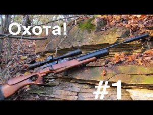 Охота на воробьев! Полное истребление!