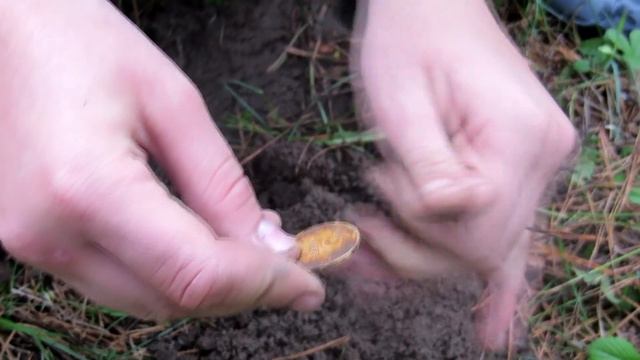 Коп нашли золото.Копаем в лесу. смотреть онлайн