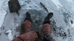 я просто хотел поймать судака ЗИМНЯЯ РЫБАЛКА | АДМИРАЛ + ТЮЛЬКА.