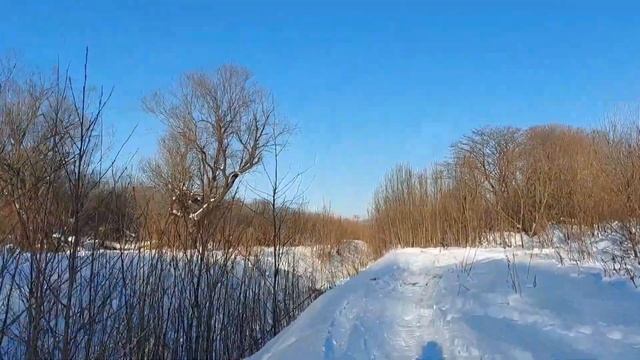 Всей семьей на Рождество. (смотреть до конца) смотреть онлайн