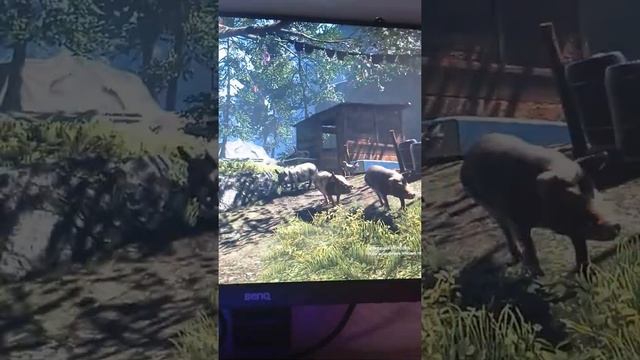 Фар край 4: Гейл оказывается гейям ? смотреть онлайн