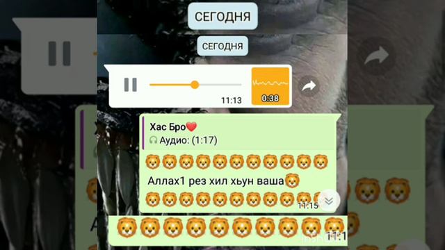Са дотах дик накъост ваша ву хьо смотреть онлайн
