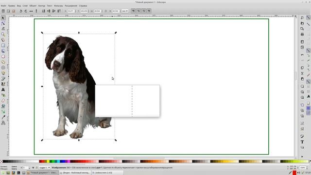 Уроки inkscape Создание визиток, урок 1 смотреть онлайн