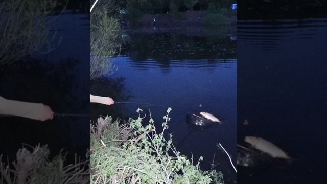 InShot_20230529_204601944.mp4 смотреть онлайн