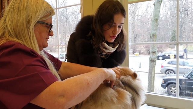 Учим Делать с Осознанностью