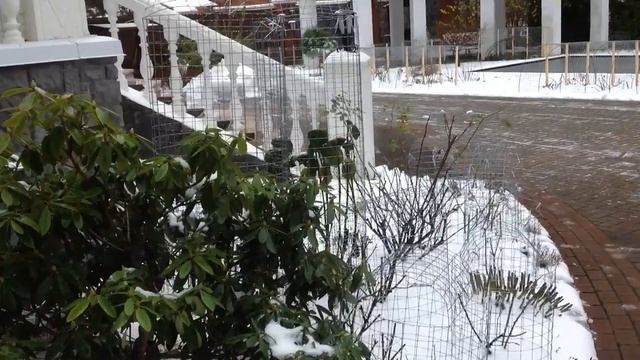 Укрытия ЗИМНИЕ. Ландшафт-Дизайн ЗИМОЙ. Академия САДОВОДА-МЕШОЧНИКА. Встреча 22. смотреть онлайн