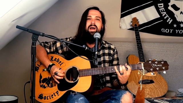 Heart-Shaped Box - Nirvana (Acoustic Cover) смотреть онлайн