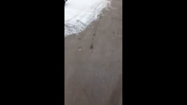 В Воронеже Теплосеть все-таки убрала с дороги бетонные плиты смотреть онлайн