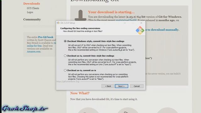 Git: How to Download & Install Git on Windows 10 & Choose Install Options смотреть онлайн