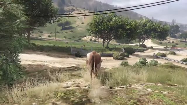 how to find animal plants in GTA V part 11 смотреть онлайн