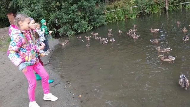 Детство без границ г Пермь Лицей №4 смотреть онлайн