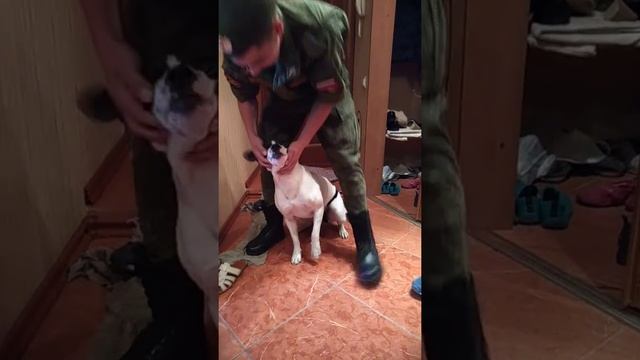 Встреча через год .Сын пришёл из армии смотреть онлайн